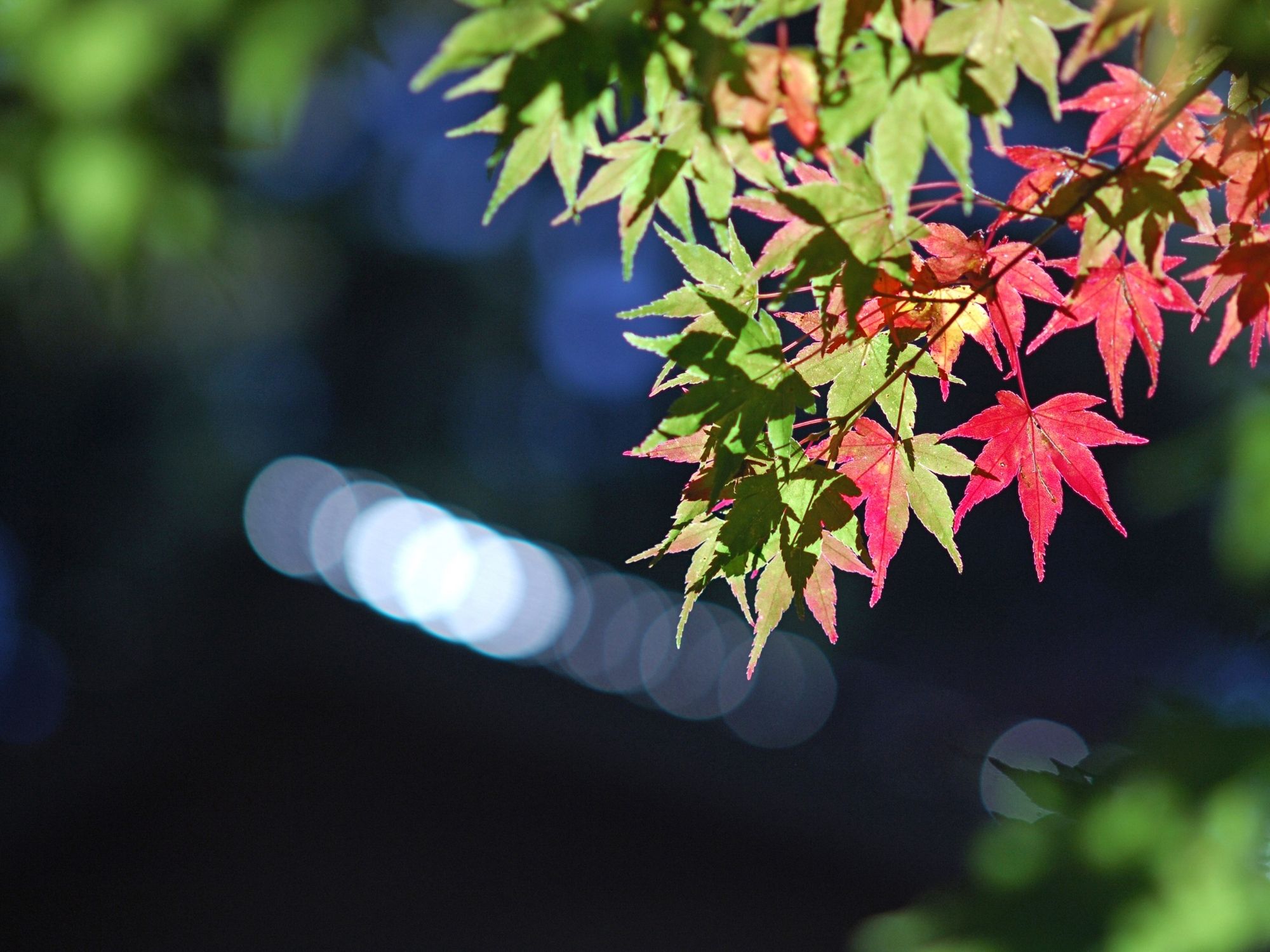 Stress & Spine: Managing Back Pain as We Head into a Busy Fall