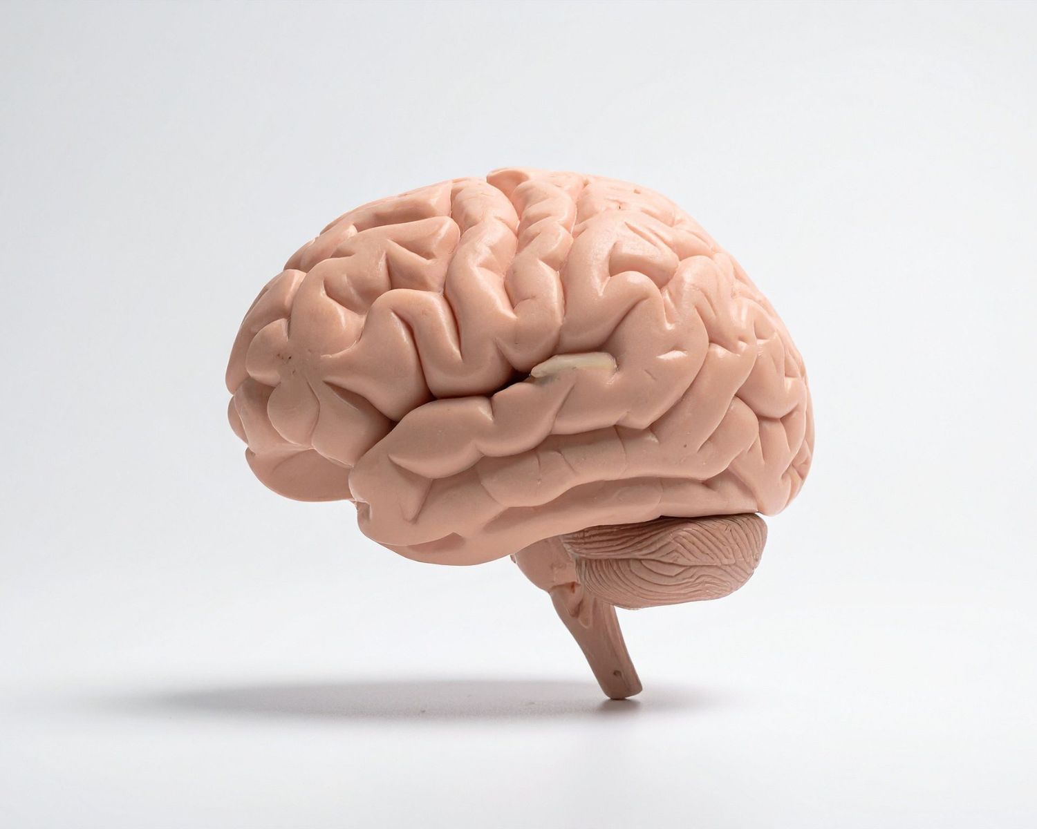 Neurologic-Based Chiropractic Care in Fishers: Healing at the Source, Not the Symptoms